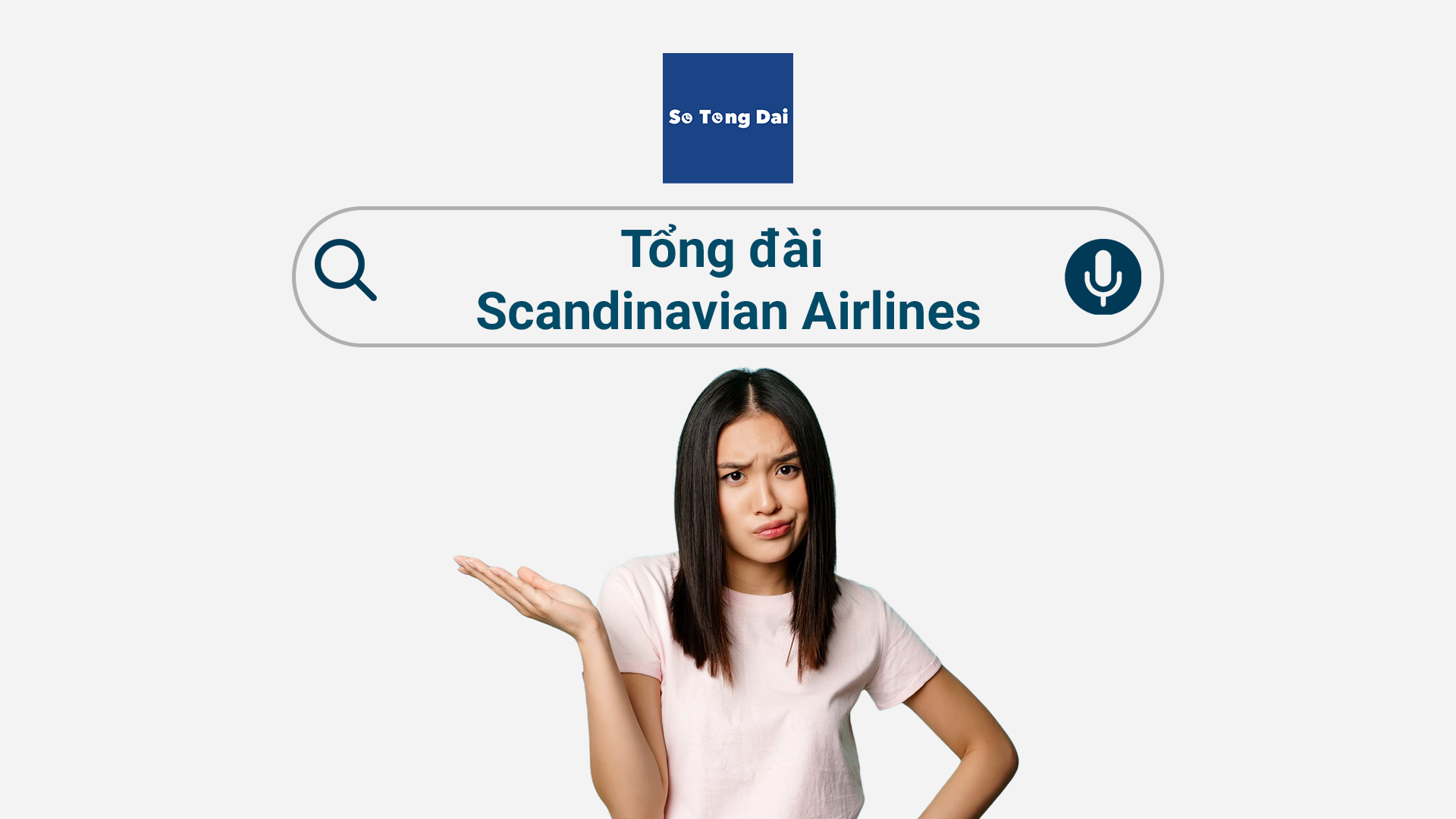 Read more about the article Tổng đài Scandinavian Airlines hỗ trợ 24/7 – Hướng dẫn liên hệ